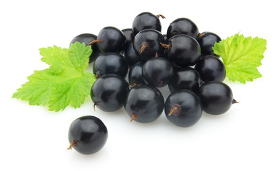 Similar image 192237