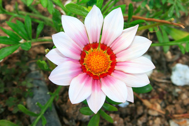 Similar image 192273