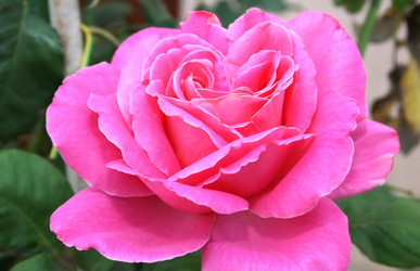 Similar image 192274