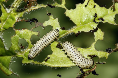 Similar image 192278