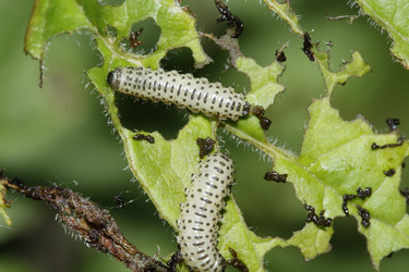 Similar image 192280