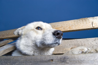 Similar image 192281