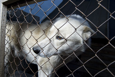 Similar image 192282