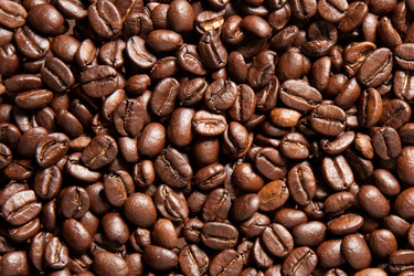 Similar image 192306