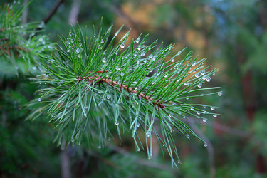 Similar image 192314