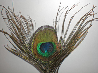 Similar image 192354