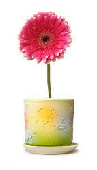 Similar image 192366