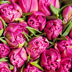 Similar image 192367