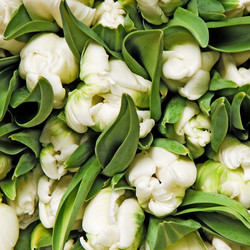 Similar image 192373