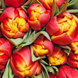 Similar image 192377