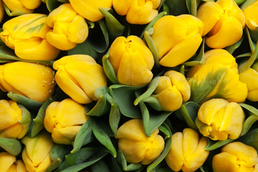 Similar image 192379