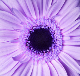 Similar image 192387