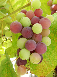 Similar image 192438