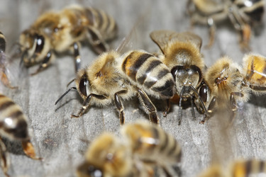 Similar image 192441