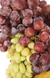 Similar image 192479