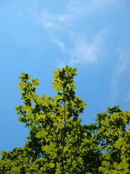 Similar image 192537