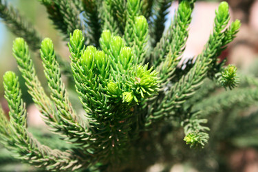 Similar image 192540