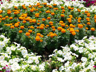 Similar image 192546