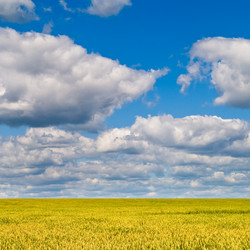 Similar image 192561