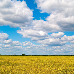 Similar image 192562