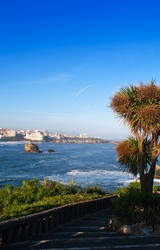 Similar image 192567