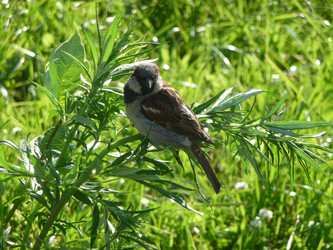 Similar image 192580