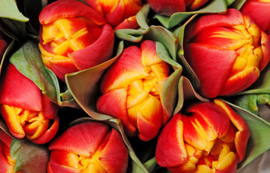 Similar image 192590