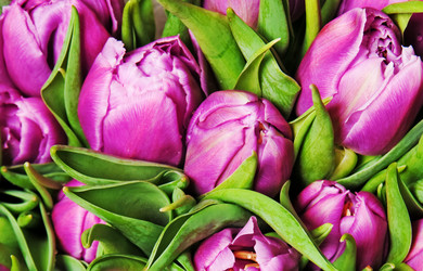 Similar image 192591