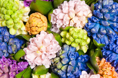 Similar image 192592