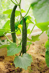 Similar image 192596