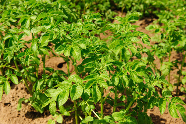 Similar image 192599