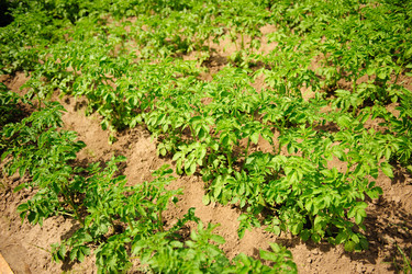 Similar image 192600