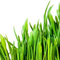 Similar image 192601