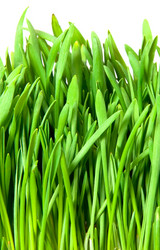 Similar image 192603