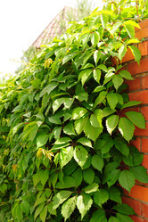 Similar image 192615