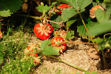 Similar image 192616