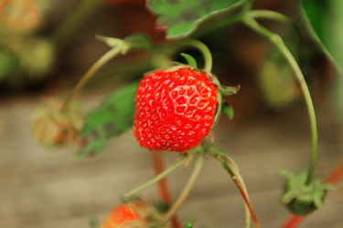 Similar image 192619