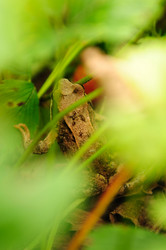 Similar image 192622