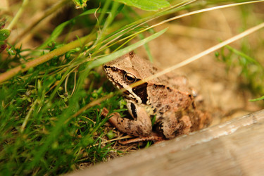 Similar image 192624