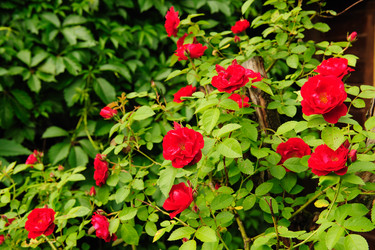 Similar image 192629