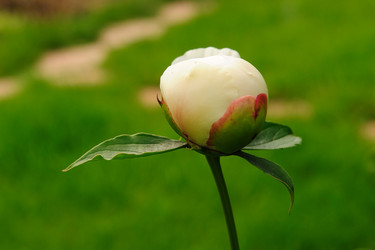 Similar image 192631