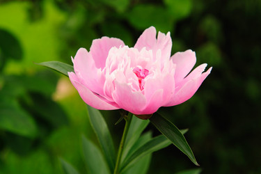 Similar image 192634