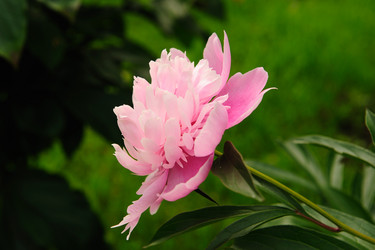 Similar image 192635