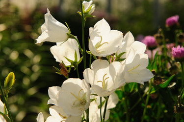 Similar image 192646