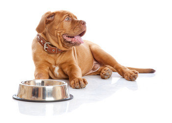 Similar image 192650