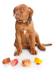 Similar image 192651