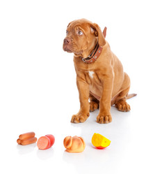 Similar image 192652