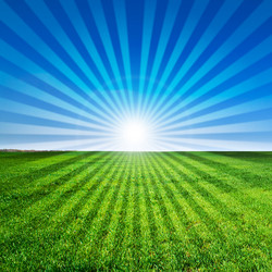 Similar image 192653