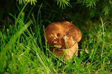 Similar image 192654