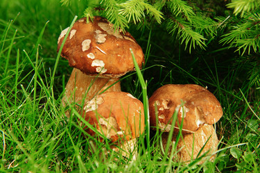 Similar image 192658